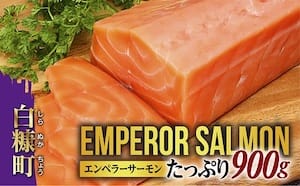 2023マイナビふるさと納税魚介類・海産物の人気返礼品2