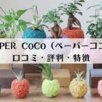 PAPER CoCo（ペーパーココ）の口コミ・評判・特徴を解説