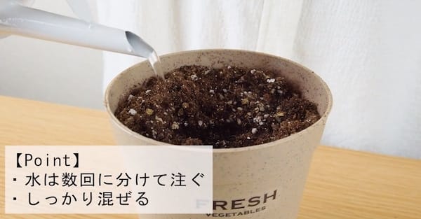 タネペラの栽培キットの育て方：ポットに土を入れる2