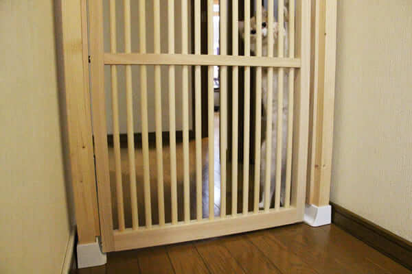 にゃんがーどはキッチンにも使える？
