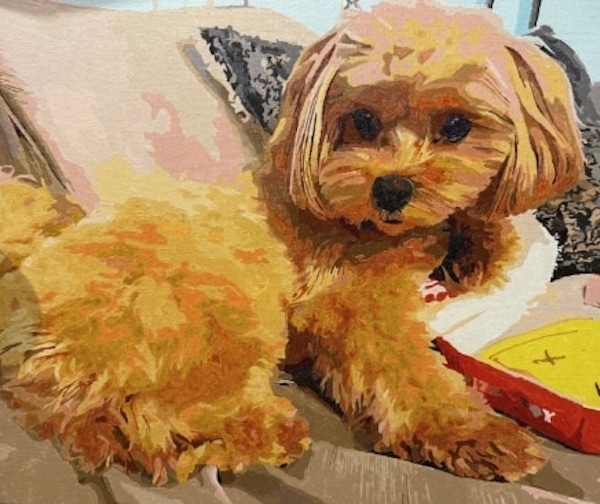 良い口コミ・評判から見えたPaint Yoursの魅力